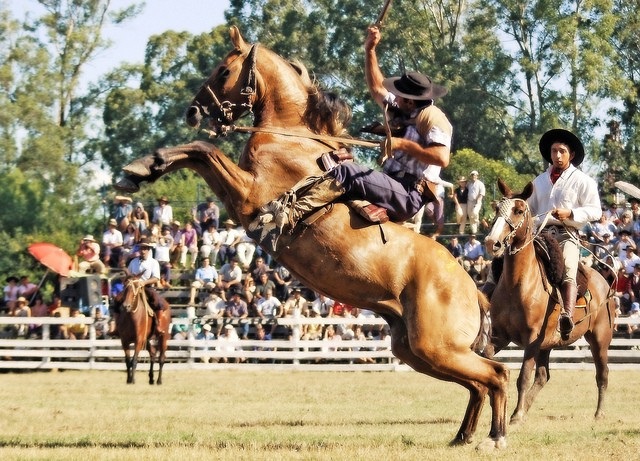 Un intendente echó a un comisario por poner un control de alcoholemia a la salida de una jineteada: “Los gauchos no toman jugo” Un intendente echó a un comisario por poner un control de alcoholemia a la salida de una jineteada: “Los gauchos no toman jugo”