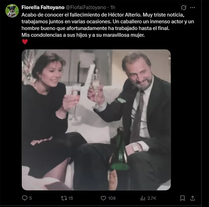 Despedida-Alterio-Faltoyano-002-728x721