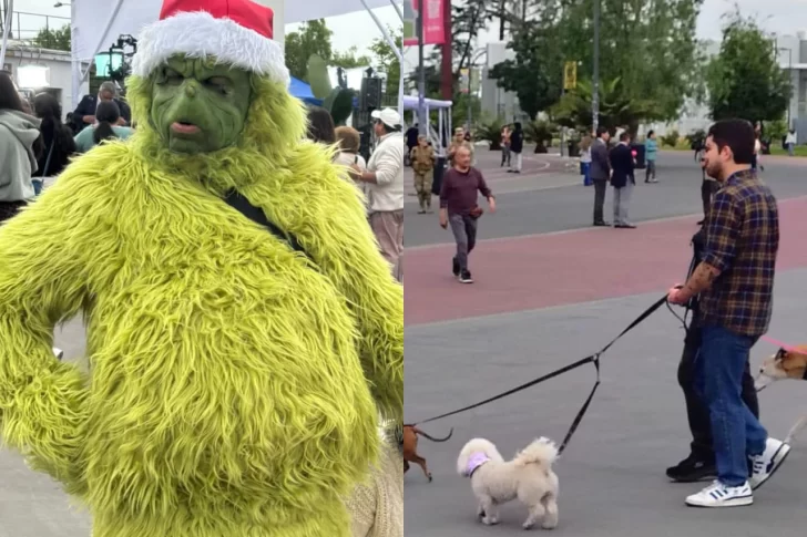 DIARIO DE CUYO en Santiago de Chile donde se elige presidente: todas las postales