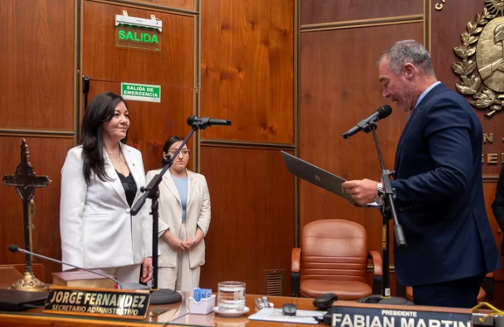 Marcela Montaña juró como diputada provincial, en reemplazo de Carlos Jaime Marcela Montaña juró como diputada provincial, en reemplazo de Carlos Jaime