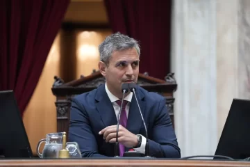 Martín Menem fue reelecto como presidente de la Cámara de Diputados