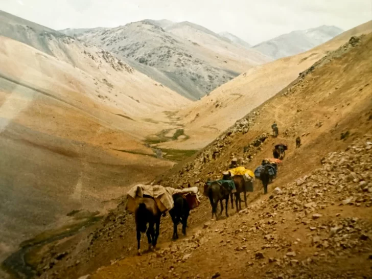 Mulas-1992-remasterizada-728x546