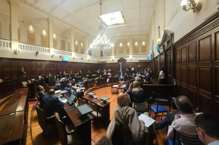 El Senado dio sanción definitiva al proyecto minero PSJ Cobre Mendocino