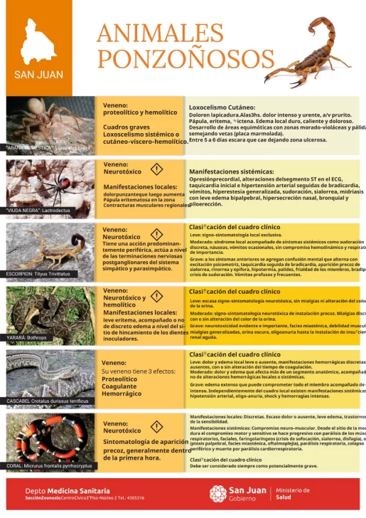 WhatsApp-Image-2025-12-02-at-12.22.21-515x728