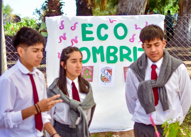 WhatsApp-Image-2025-12-05-at-13.46.58-728x520