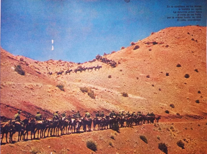 WhatsApp-Image-2025-12-08-at-14.04.02-728x541