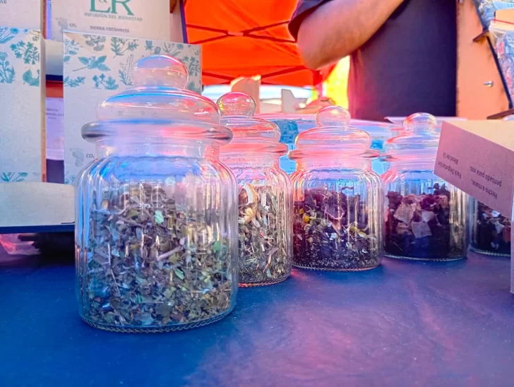 WhatsApp-Image-2025-12-12-at-10.36.51-1-728x548 L&R infusiones 1