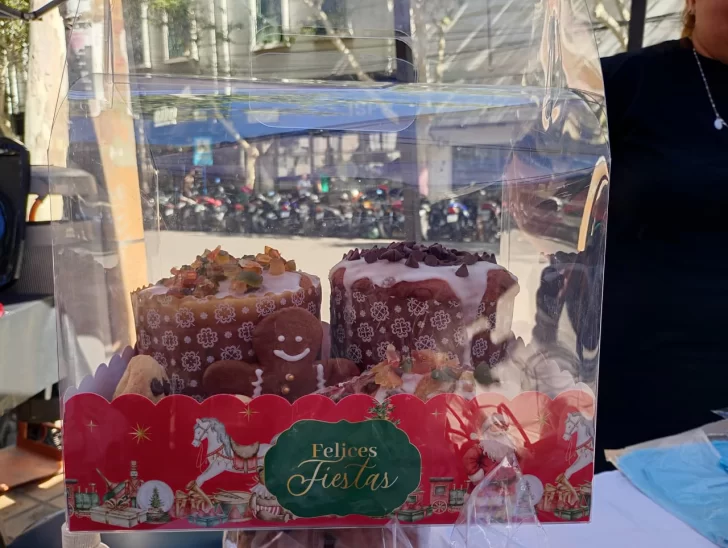 WhatsApp-Image-2025-12-12-at-10.36.56-728x548 WhatsApp-Image-2025-12-12-at-10.36.56-728x548