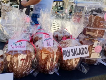 Pan dulce ¿salado?: el llamativo producto que se llevó todas las miradas en la Feria Agroproductiva en la Catedral Pan dulce ¿salado?: el llamativo producto que se llevó todas las miradas en la Feria Agroproductiva en la Catedral