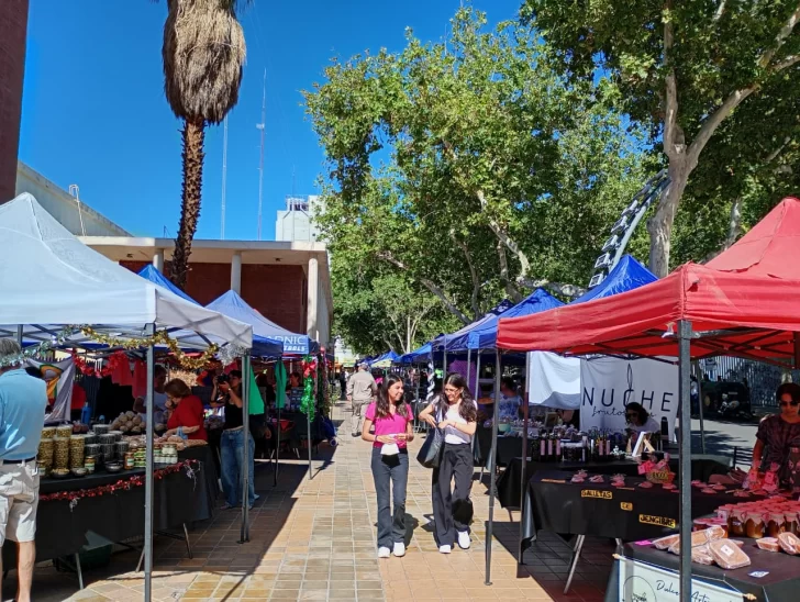 WhatsApp-Image-2025-12-12-at-10.37.47-728x548 WhatsApp-Image-2025-12-12-at-10.37.47-728x548