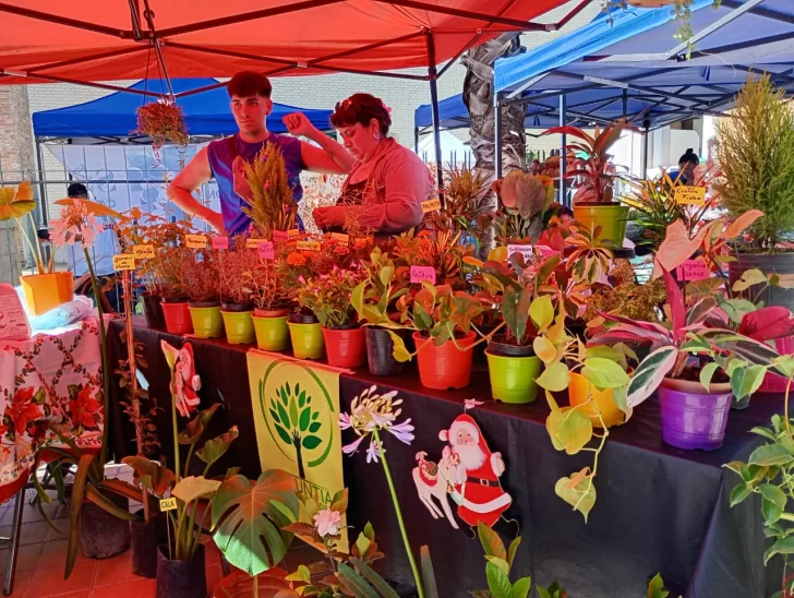 WhatsApp-Image-2025-12-12-at-10.37.48-728x548 feria agro 4