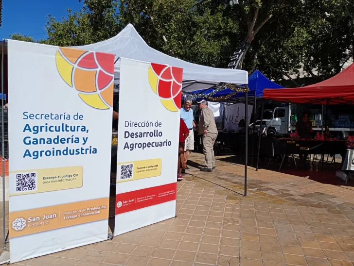 WhatsApp-Image-2025-12-12-at-10.37.50-728x548 WhatsApp-Image-2025-12-12-at-10.37.50-728x548