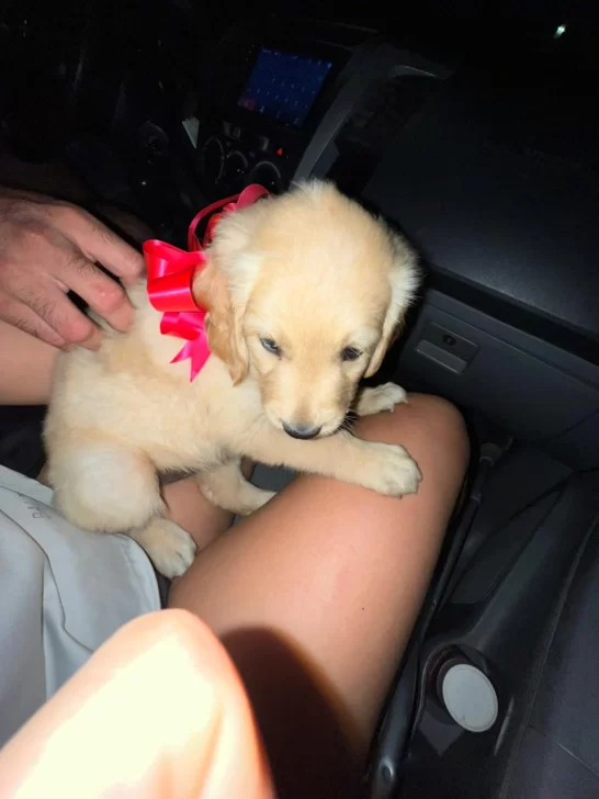 navidad marquesado 3