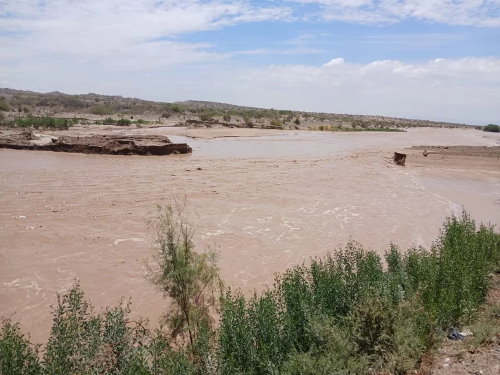 WhatsApp-Image-2025-12-27-at-16.29.33-1-728x546 WhatsApp-Image-2025-12-27-at-16.29.33-1-728x546