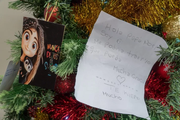 abanderados3-728x485