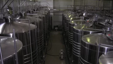 Se sumaron 52 bodegas y viñateros de San Juan en apoyo a la desregulación del INV 