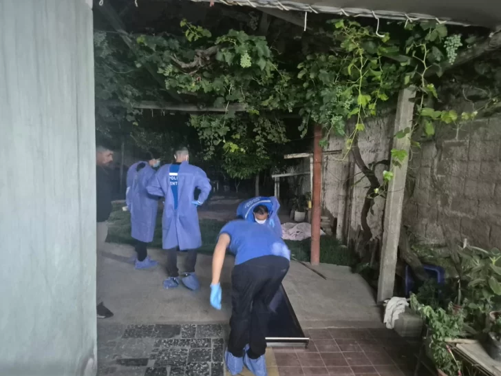 c60dbbe5-017e-4eed-8df2-e978a54aab99-728x546