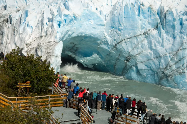 calafate-perito-moreno-728x484