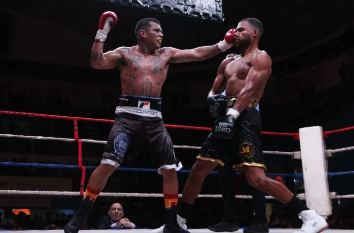 campe1-728x479 campe1-728x479