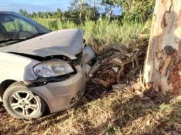 Un exintendente se estrelló contra un árbol en Angaco Un exintendente se estrelló contra un árbol en Angaco