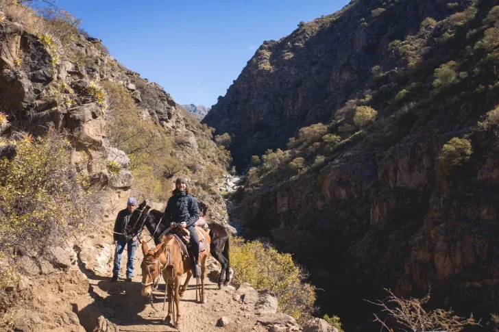 cineasta-728x485 cineasta-728x485