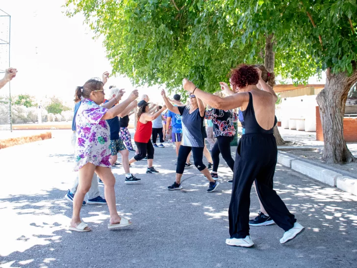 colonia3-728x546 colonia3-728x546