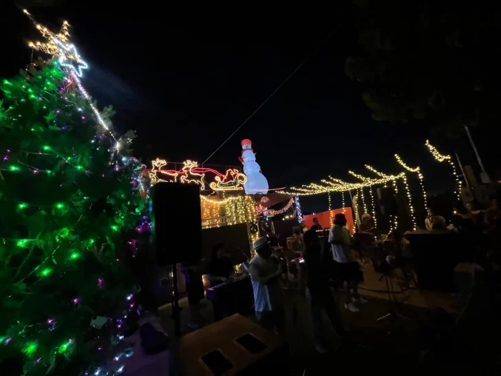 decoracion-casa-rawson2025-2-728x546 decoracion-casa-rawson2025-2-728x546