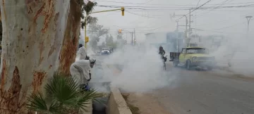 En Sarmiento, continúan con la lucha contra el dengue: operativos rotativos de fumigación en la villa cabecera