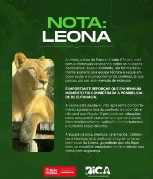 el-comunicado-del-parque-624x728