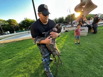 expo-policial-9-728x546