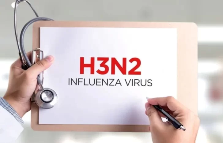 h3n2-virus-casos-argentina-728x467 h3n2-virus-casos-argentina-728x467