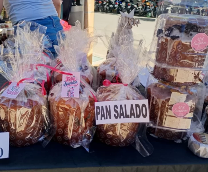 image-3-728x601 pan salado 2