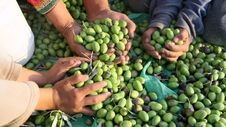 Con un cierre de año intenso, el 2026 estará marcado por nuevos inicios, mayor sensibilidad y el amor propio Con un cierre de año intenso, el 2026 estará marcado por nuevos inicios, mayor sensibilidad y el amor propio