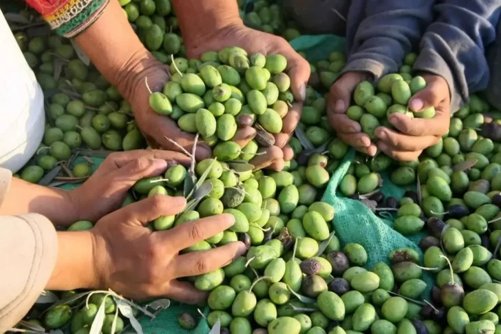 Con un cierre de año intenso, el 2026 estará marcado por nuevos inicios, mayor sensibilidad y el amor propio