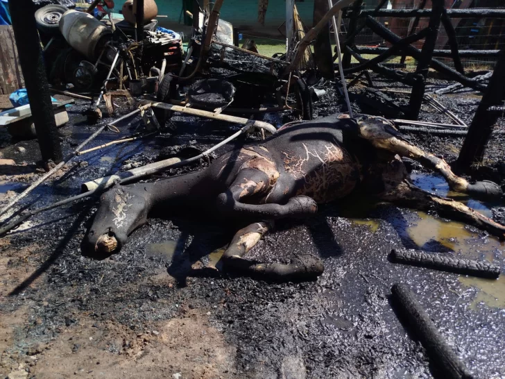 incendio-en-un-corral-de-pocito1-728x546
