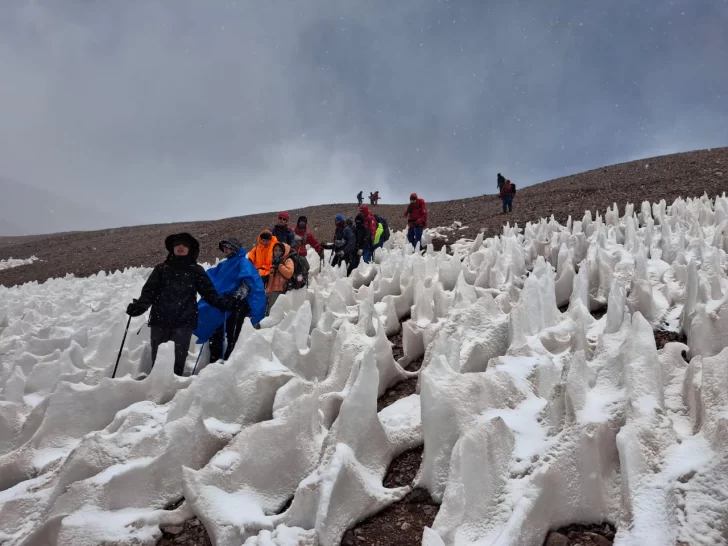 Los estudiantes sanjuaninos que, tras las adversidades del clima, lograron ascender 4.765 metros en el Cerro Gabriela Mistral Los estudiantes sanjuaninos que, tras las adversidades del clima, lograron ascender 4.765 metros en el Cerro Gabriela Mistral