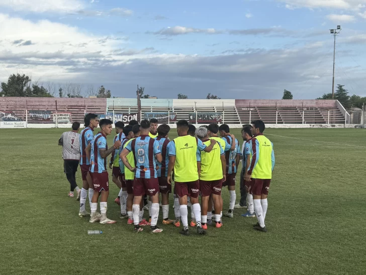 lechucitos-728x546 lechucitos-728x546