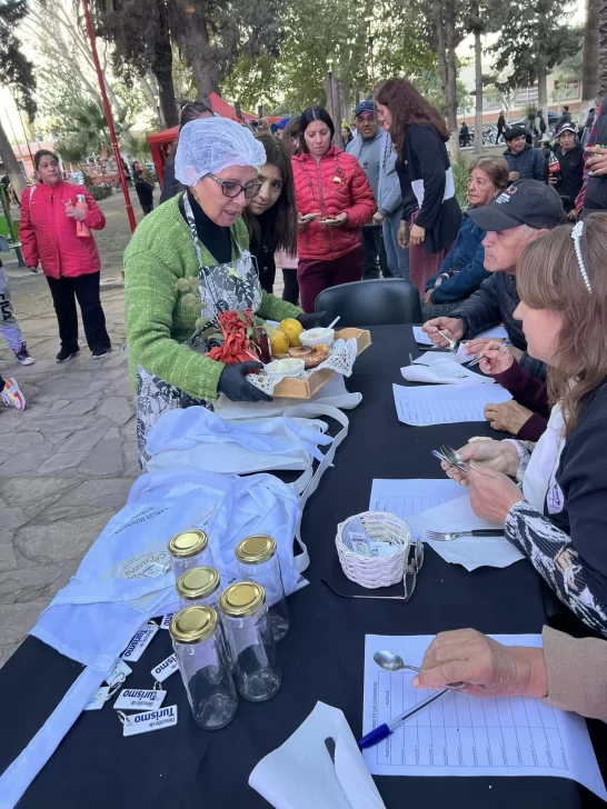 medano-546x728 medano-546x728