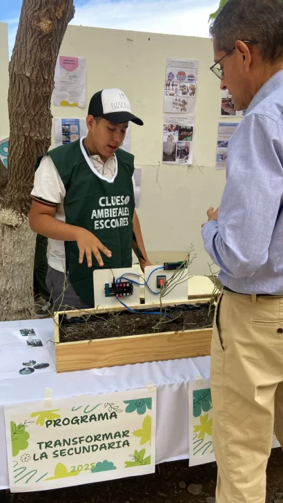 muestra4-410x728 muestra4-410x728