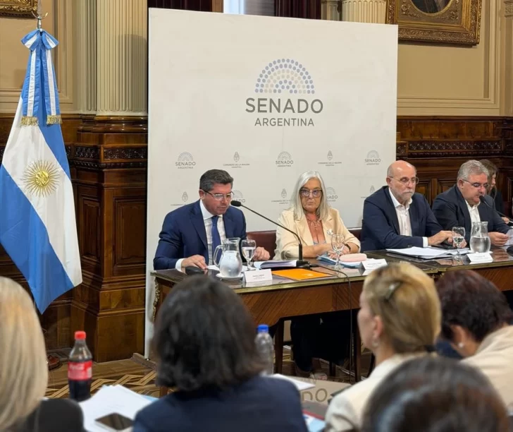 Marcelo Orrego defendió y explicó la Ley de Glaciares ante las comisiones del Senado