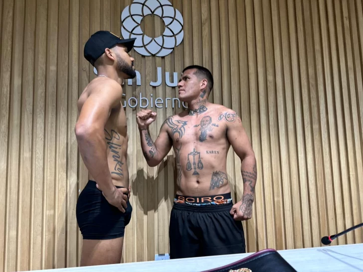 paca2-728x546 paca2-728x546