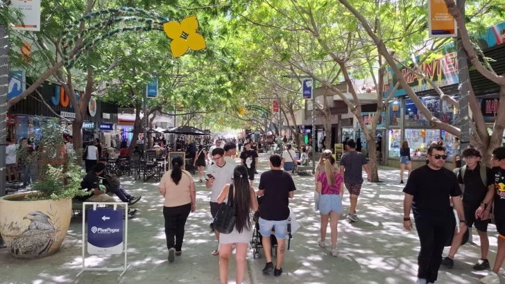 peatonal-navidad-compras20251-728x410