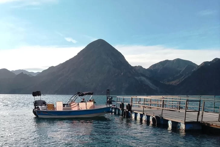 A partir de ahora, se puede tramitar de manera online los permisos para pescar: conocé todos los detalles del procedimiento