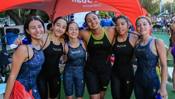 pileu2-728x410 pileu2-728x410