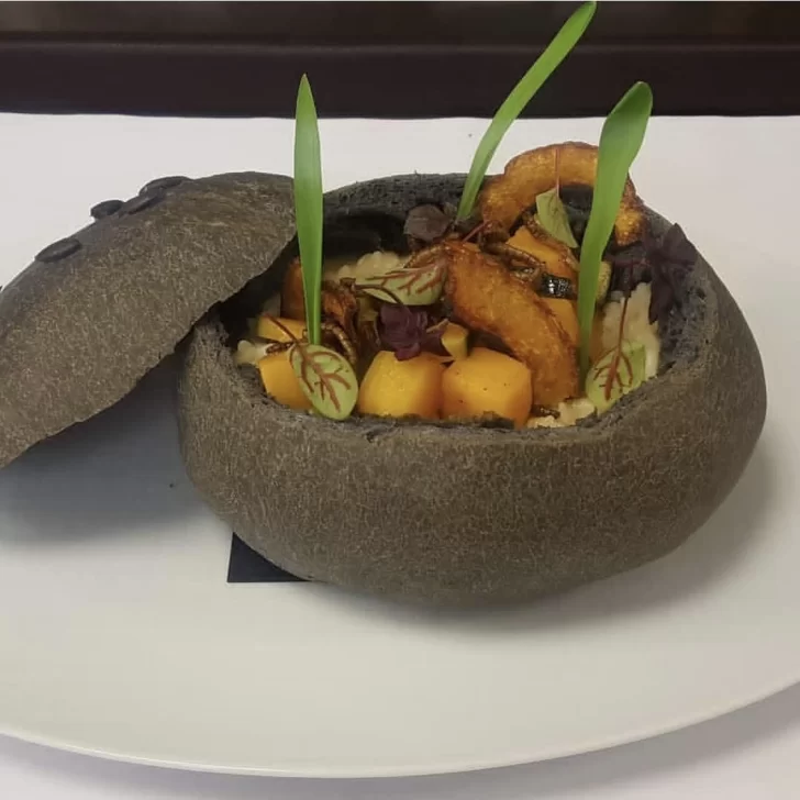 plato-preparado-por-viviana-oro-premiado-728x728 plato-preparado-por-viviana-oro-premiado-728x728