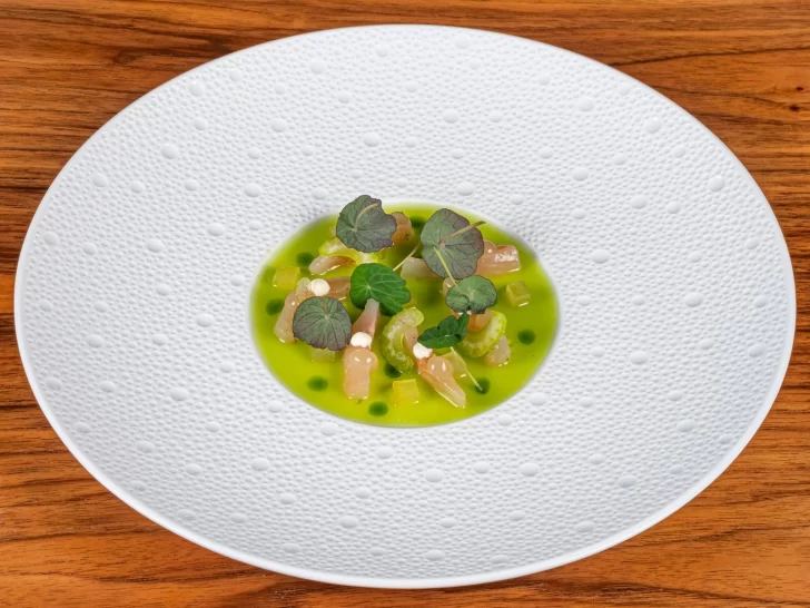 plato-preparado-por-viviana-oro-premiado1-728x546 plato-preparado-por-viviana-oro-premiado1-728x546