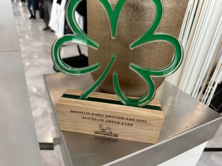 premio-michelin-verde-728x546 premio-michelin-verde-728x546