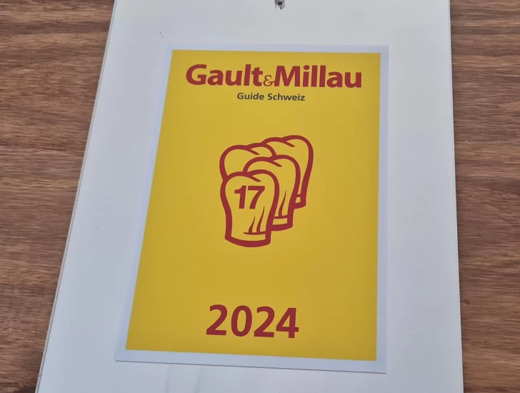 premios-viviana-placa-728x550 premios-viviana-placa-728x550