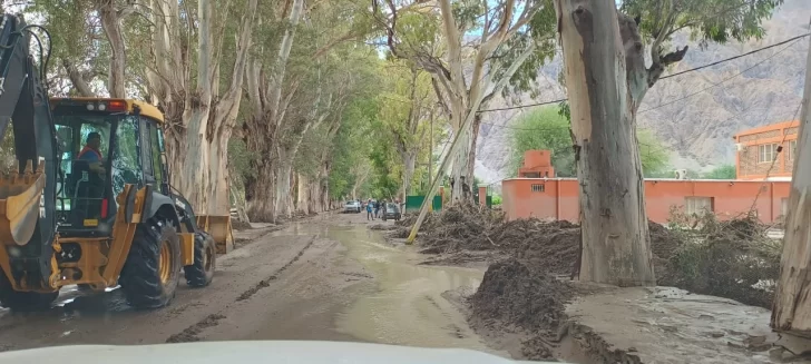 3eeec951-c157-4371-a584-0a1e79bdae0a-728x327 3eeec951-c157-4371-a584-0a1e79bdae0a-728x327