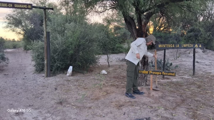 Ganacache-3-728x410 Ganacache-3-728x410